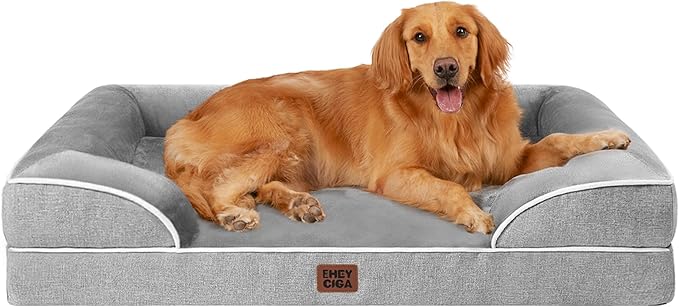 Dog bed product photo demo input